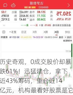 历史奇观，0成交股价却暴跌61%！迅猛建仓，拿下近43%筹码，重仓近14亿元，机构最看好股票是它