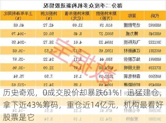 历史奇观，0成交股价却暴跌61%！迅猛建仓，拿下近43%筹码，重仓近14亿元，机构最看好股票是它