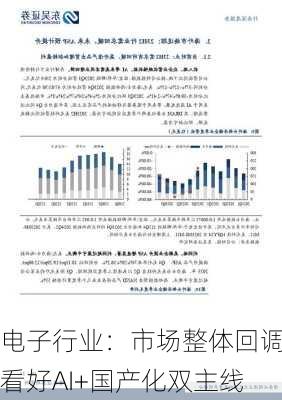 电子行业：市场整体回调 看好AI+国产化双主线