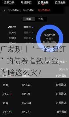 广发现丨“一路蹿红”的债券指数基金，为啥这么火？