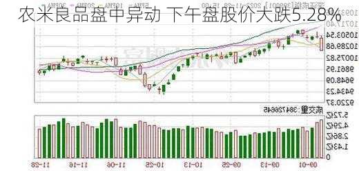 农米良品盘中异动 下午盘股价大跌5.28%