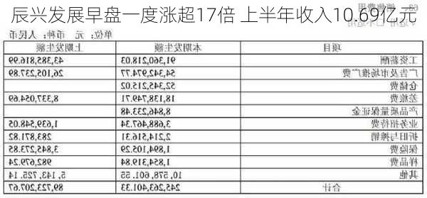 辰兴发展早盘一度涨超17倍 上半年收入10.69亿元