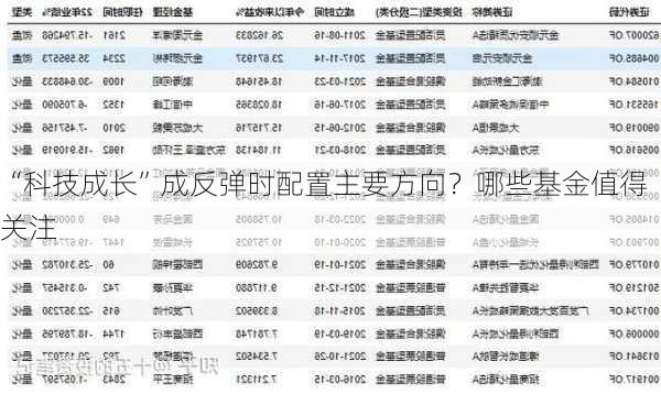 “科技成长”成反弹时配置主要方向？哪些基金值得关注