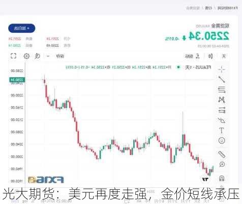 光大期货：美元再度走强，金价短线承压