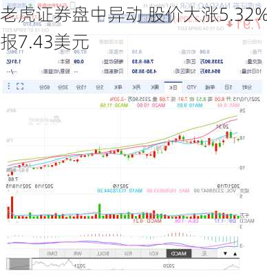 老虎证券盘中异动 股价大涨5.32%报7.43美元