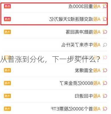 从普涨到分化，下一步买什么？