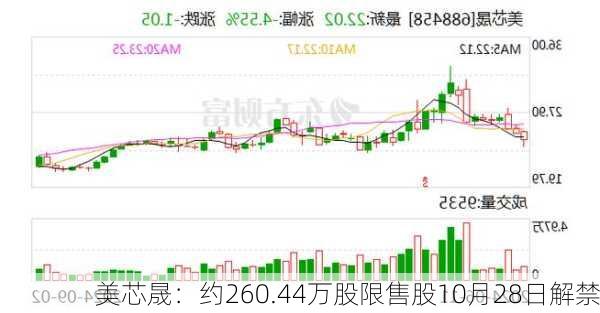 美芯晟：约260.44万股限售股10月28日解禁