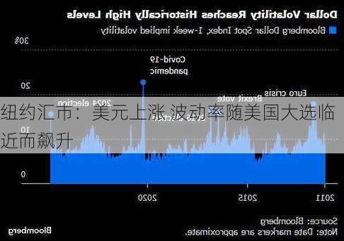 纽约汇市：美元上涨 波动率随美国大选临近而飙升