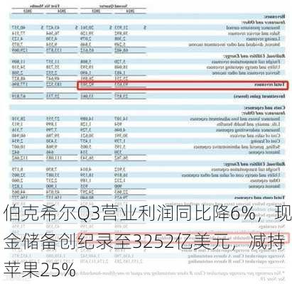 伯克希尔Q3营业利润同比降6%，现金储备创纪录至3252亿美元，减持苹果25%