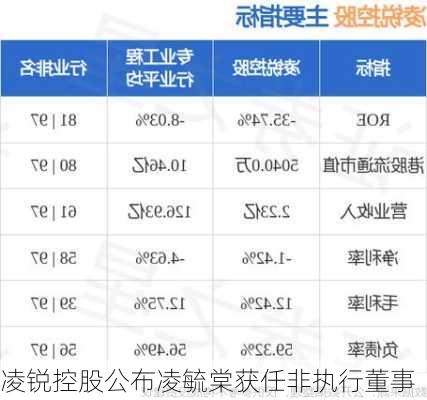 凌锐控股公布凌毓棠获任非执行董事