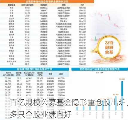 百亿规模公募基金隐形重仓股出炉，多只个股业绩向好