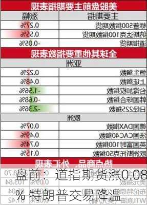 盘前：道指期货涨0.08% 特朗普交易降温