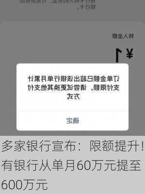 多家银行宣布：限额提升！有银行从单月60万元提至600万元