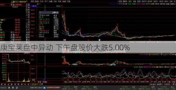 康宝莱盘中异动 下午盘股价大跌5.00%