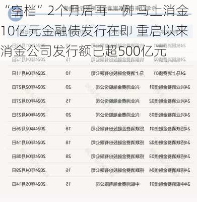 “空档”2个月后再一例 马上消金10亿元金融债发行在即 重启以来消金公司发行额已超500亿元