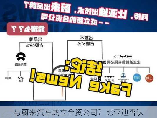 与蔚来汽车成立合资公司？比亚迪否认