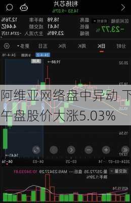 阿维亚网络盘中异动 下午盘股价大涨5.03%