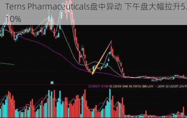 Terns Pharmaceuticals盘中异动 下午盘大幅拉升5.10%