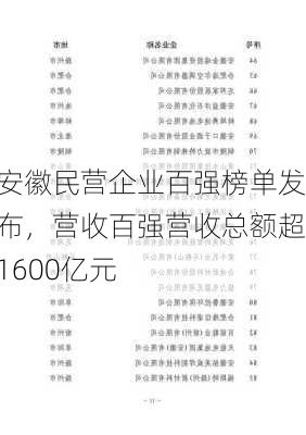 安徽民营企业百强榜单发布，营收百强营收总额超1600亿元