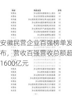 安徽民营企业百强榜单发布，营收百强营收总额超1600亿元