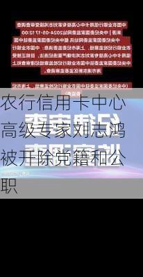 农行信用卡中心高级专家刘志鸿被开除党籍和公职