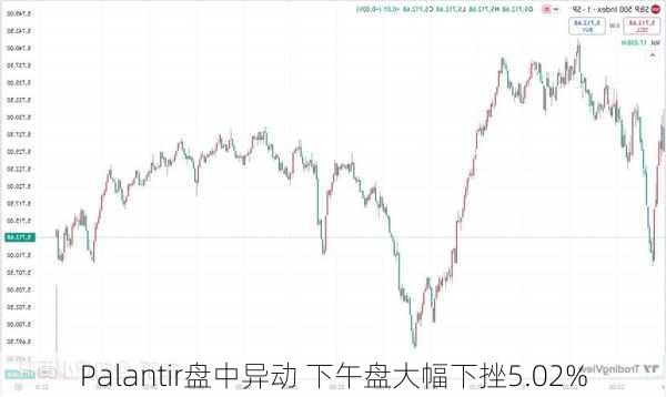 Palantir盘中异动 下午盘大幅下挫5.02%