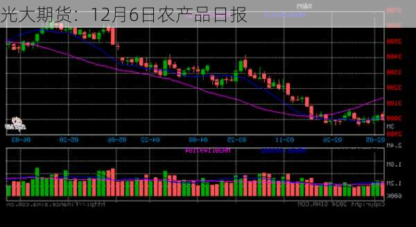 光大期货：12月6日农产品日报