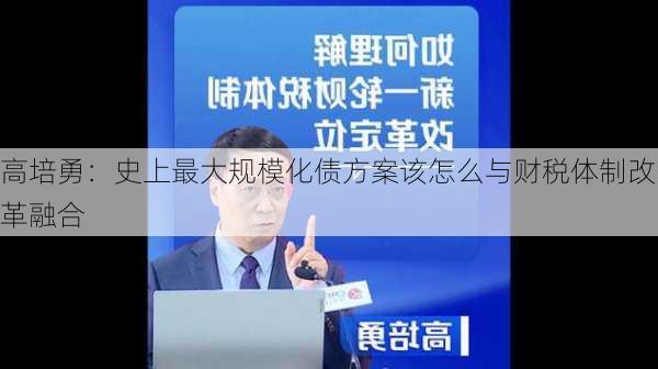 高培勇：史上最大规模化债方案该怎么与财税体制改革融合