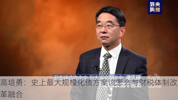 高培勇：史上最大规模化债方案该怎么与财税体制改革融合