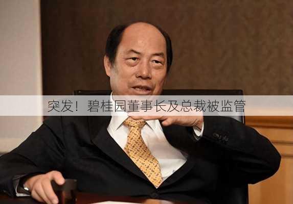 突发！碧桂园董事长及总裁被监管