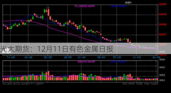 光大期货：12月11日有色金属日报