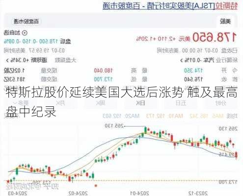 特斯拉股价延续美国大选后涨势 触及最高盘中纪录