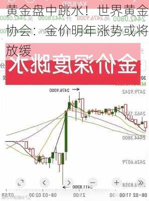 黄金盘中跳水！世界黄金协会：金价明年涨势或将放缓