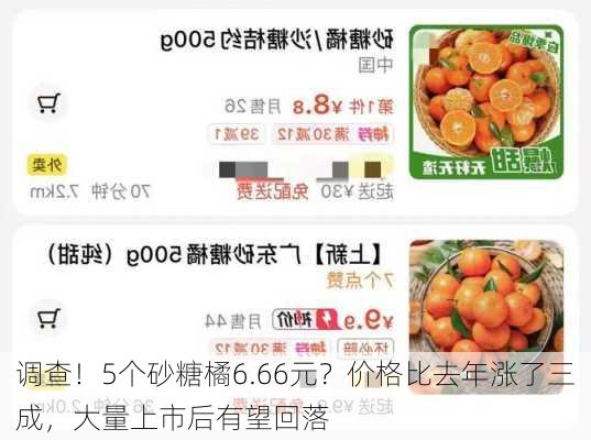 调查！5个砂糖橘6.66元？价格比去年涨了三成，大量上市后有望回落