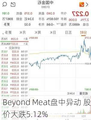 Beyond Meat盘中异动 股价大跌5.12%