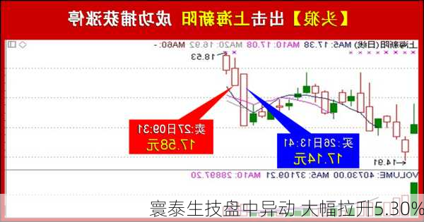 寰泰生技盘中异动 大幅拉升5.30%