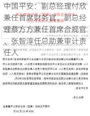 中国平安：副总经理付欣兼任首席财务官、副总经理蔡方方兼任首席合规官、张智淳任总助兼审计责任人