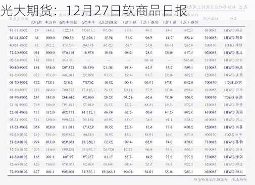 光大期货：12月27日软商品日报