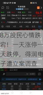 8万股民心情跌宕！一天涨停一天跌停，得润电子遭立案调查