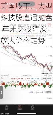 美国股市：大型科技股遭遇抛盘 年末交投清淡放大价格走势