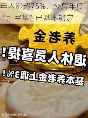 年内涨超75%，公募年度“冠军基”已基本锁定